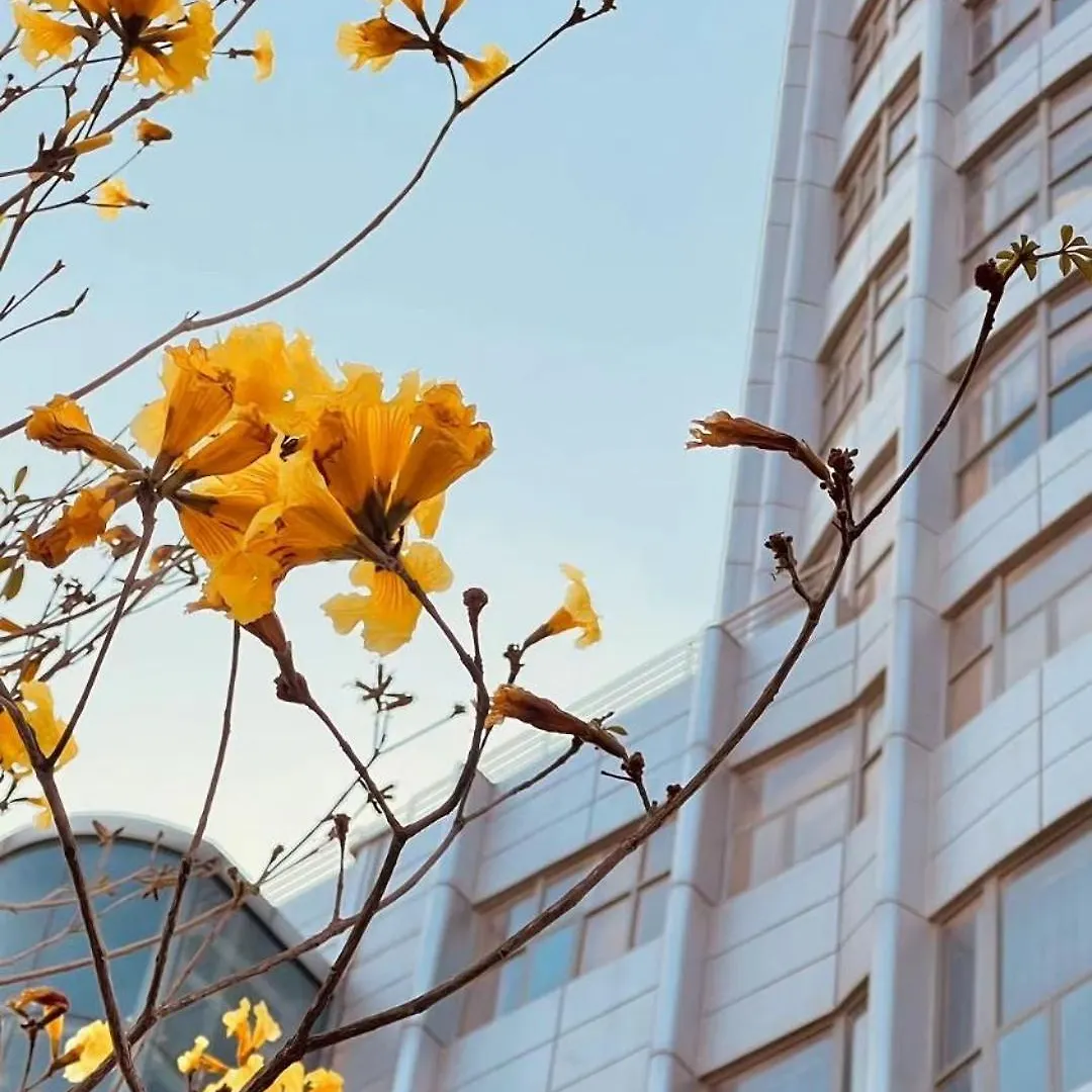 The Skytel Hotel Shenzhen International Convention And Exhibition Center